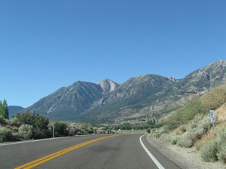 A reference marker for 8.00 miles north of Nevada 88 is posted along southbound Nevada 206 ahead of Mottsville.