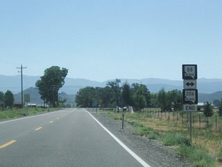 An end shield is posted for Nevada 206 south.