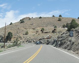 Proceeding north on the Occidental Grade, Nevada 341 is a winding road with less severe grades and curves than older Nevada 342. Prior to 1976, Nevada 341 was designated as Nevada 17, while Nevada 342 was signed as Nevada 80. The renumbering resulted in the present configuration of Nevada 341 and Nevada 342.