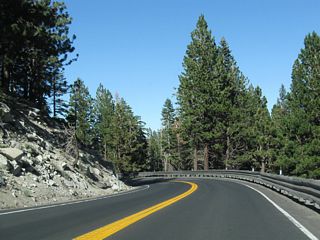 Nevada 431 continues northeast through the national forest.