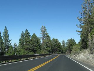 The descent to Mt. Rose Junction is much longer than the climb from Incline Village to Mount Rose Summit.