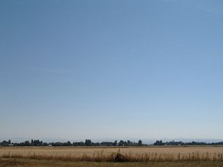 Farmland spreads east from I-5 to the Cascade Range foothills. The Willamette Valley is one of the nation's premiere nursery stock and grass growing regions. A mild but seasonal climate provides a long growing season while still allowing for sufficient winter chilling many temperate plants need.