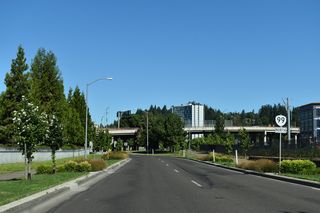OR 99/126 Business turn north from Broadway onto Hilyard Street in Eugene. Hilyard Street transitions into E 6th Avenue ahead of this OR 99 reassurance marker posted near Ferry Street.