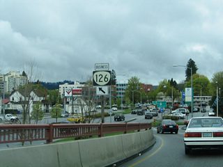 Coburg Road southbound otherwise splits into ramps for OR 99 south & 126 Business (Mill Street / Broadway) east and 8th Avenue west.