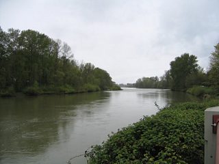 Taking a look around at the Willamette River, Ferry Street Bridge, and a distance sign from the North Bank Trail. The city of Eugene trail system continues northwest from the Autzen Stadium area to Valley River Center mall and the Goodpasture Loop.