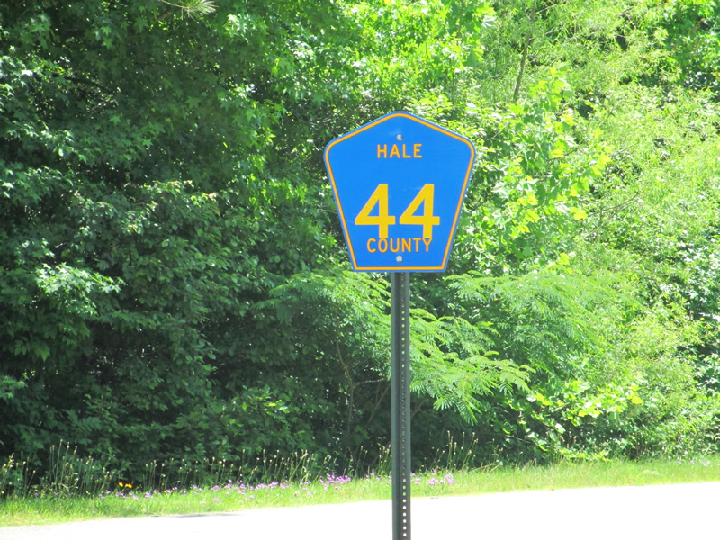 Hale County 44 reassurance marker in the town of Guinea.