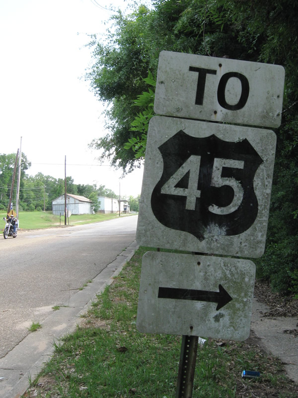 Reverse color U.S. 45 shield posted on Mobile County 96 westbound in Citronelle.