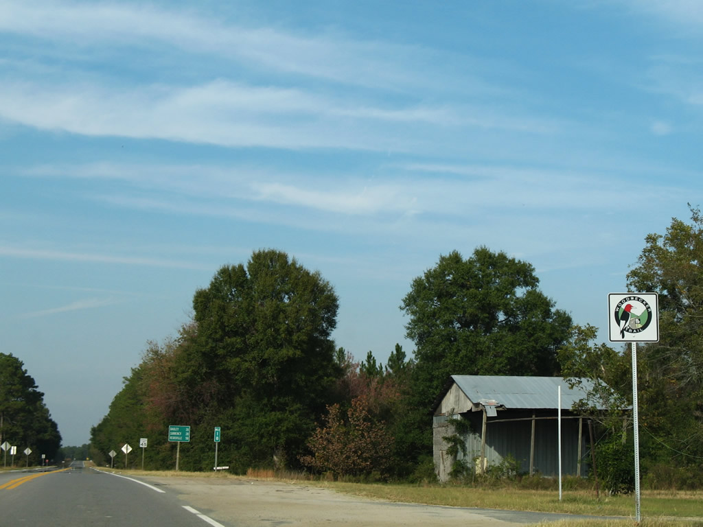 Georgia 121 doubles as the Woodpecker Trail touring route through south Georgia. This particular trailblazer is representative of those used along the route and resides along Georgia 15 & 121 north after their intersection with Georgia 32.