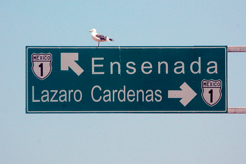 At the intersection of the road to La Bufadora (unsigned Baja California route 1) and federal highway 1.