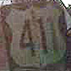 Tennessee Shield