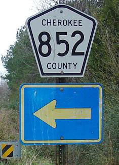 Alabama Cherokee County Route 852 sign.