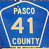 Pasco County route 41 thumbnail FL19740412