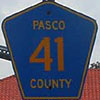 Pasco County route 41 thumbnail FL19963011