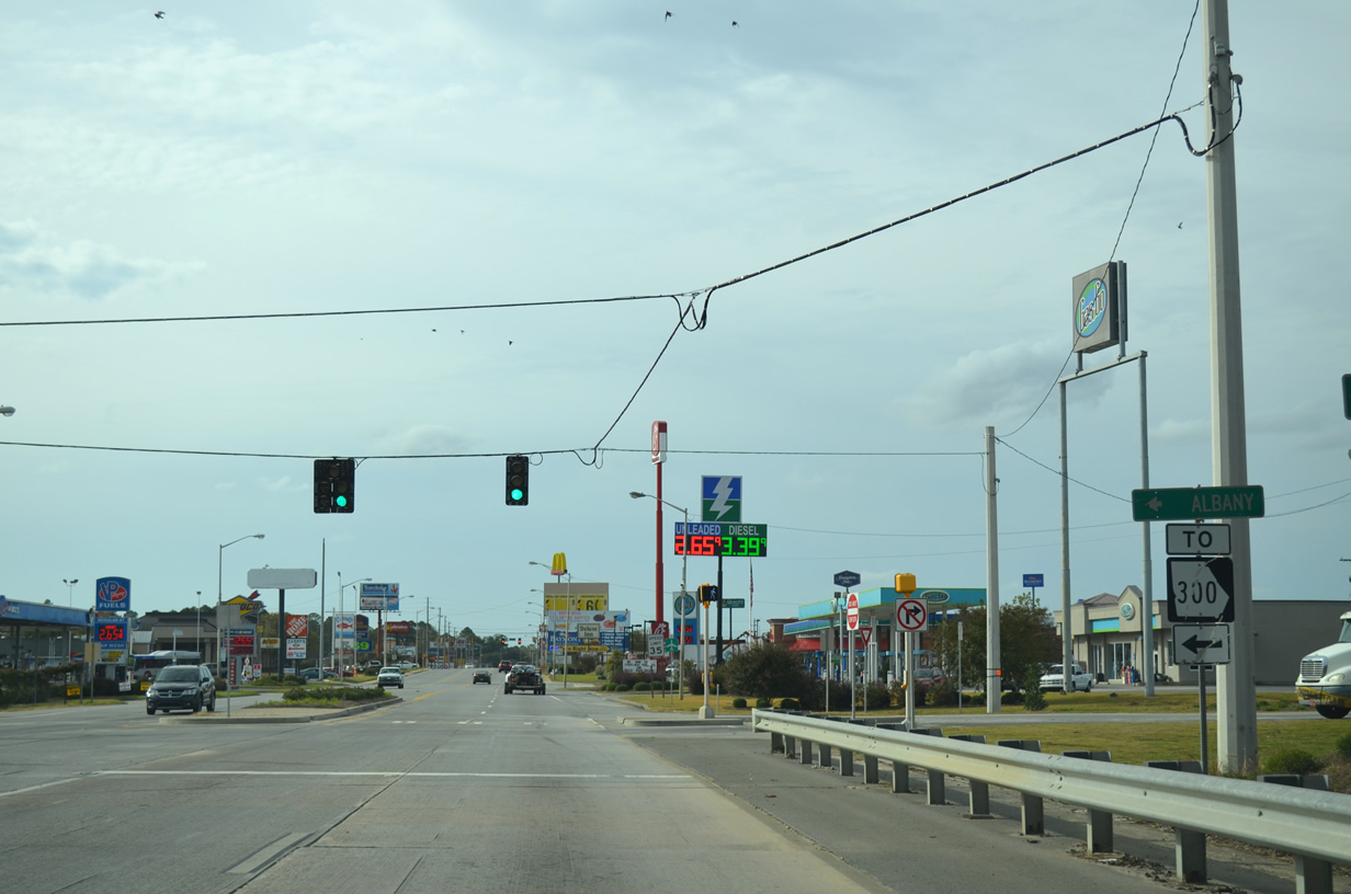 Georgia State Highway 300 sign.