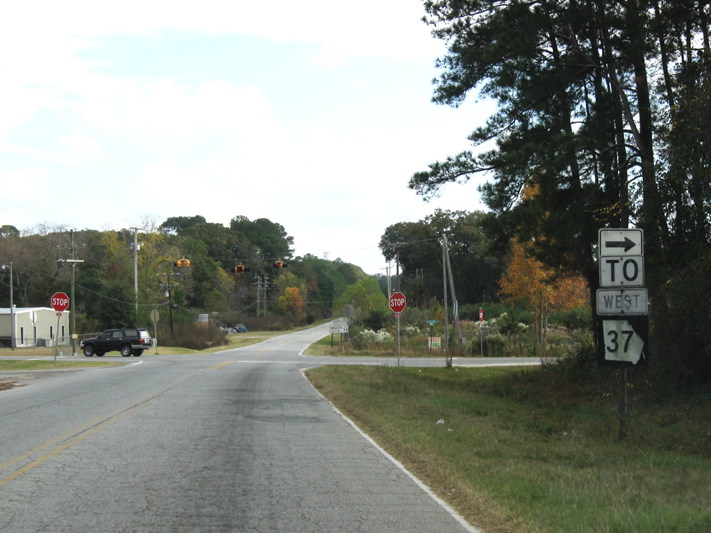 Georgia State Highway 37 sign.