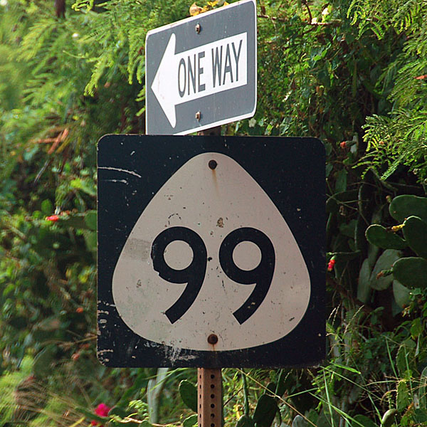 Hawaii State Highway 99 sign.