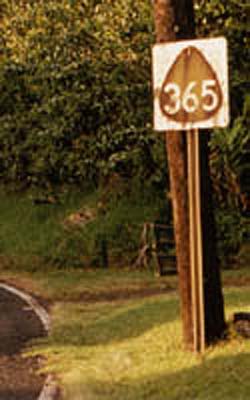 Hawaii State Highway 365 sign.
