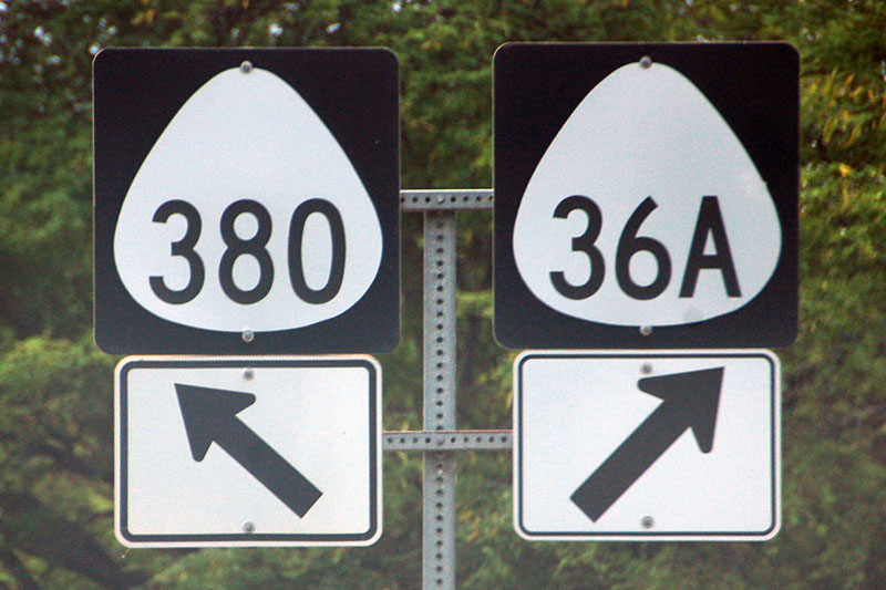 Hawaii - State Highway 36 and State Highway 380 sign.