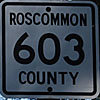 Roscommon County route 603 thumbnail MI19776031