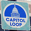 Capitol Loop thumbnail MI19884962