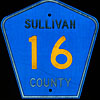 Sullivan County route 16 thumbnail NY19600553