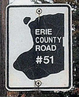 New York Erie County route 51 sign.