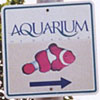Niagara Falls Aquarium thumbnail NY19700621