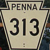 state highway 313 thumbnail PA19482021