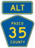 Pasco County Road 35 ALT