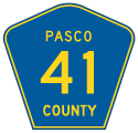 Pasco County Road 41