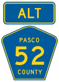 Pasco County Road 52 ALT