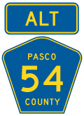 Pasco County Road 54 ALT