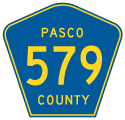 Pasco County Road 579