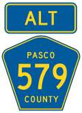 Pasco County Road 579 ALT
