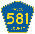Pasco County Road 581
