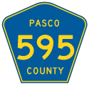 Pasco County Road 595