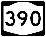 New York Route 390