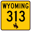 Wyoming Highway 313