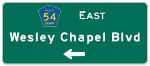 cr-054-east-wesley-chapel-fl