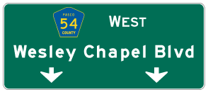cr-054-west-wesley-chapel-fl
