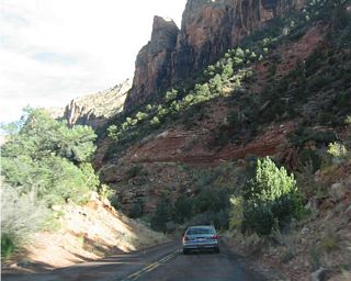 The last tour bus stop (and the point furthest away from the visitors center) is the hiking trail leading into the Zion Narrows from the Temple of Sinawawa. This path shows the narrow canyon that contains just enough room to squeeze a footpath alongside the river. During floods, this entire canyon can flood.