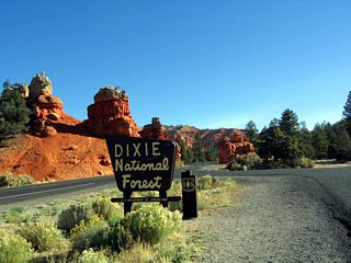 A couple miles east of the junction, Utah 12 enters Dixie National Forest. With the exception of the segment between Tropic and Cannonville and the segment between Grover and Torrey (Utah 24), most of Utah 12 is located within a national forest, national park, or national monument.