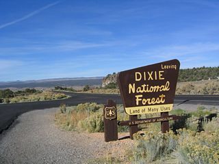 After leaving the Red Canyon area, Utah 12 west leaves Dixie National Forest. Upon leaving the national forest, the trees begin to disappear, and the sagebrush plain dominates the Sevier River Valley ahead.