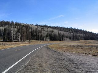 This alpine meadow is part of the flat top of the Markagunt Plateau, and it is surrounded by trees. The deciduous trees in the forest are not dead; they have already lost all of their leaves in anticipation of winter. Since this was a dry autumn, no snow was present yet in the meadow or forest. That changed shortly after we departed this area.