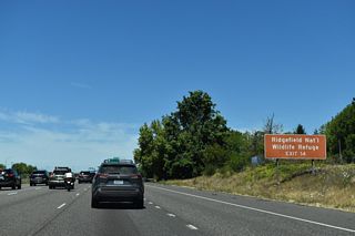 Located off NW Main Avenue, the Ridgefield National Wildlife Refuge is a 5,150-acre site of marshes, forests, and grasslands that borders the town's western edge along the Columbia River. Established in 1965, the site was created to provide winter habitat for migratory waterfowl (US Fish & Wildlife Service, n.d.).