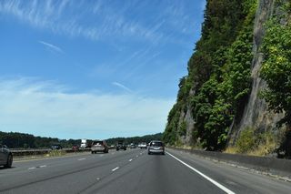 The climate of SW Washington is similar to that of NW Oregon and vegetation consists of the familiar Douglas-firs, hemlocks, red-cedars, oaks, and maples. However, the low bluffs that line the Columbia River impart a very different feel to the surrounding landscape than do the broad, alluvial plains of the Willamette Valley south of Portland. Rocky hillsides, such as at Carrolls Bluff near Longview, are also home to madrone trees.