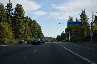 The Silver Lake Rest Area closed for maintenance in September 2021. However, due to problems with illegal dumping, vandalism, extended stays and littering, the closure became indefinite (Craighead, 2021).