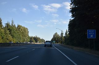 114 miles away, the ensuing rest area beyond the Smokey Point Rest Area is the Maytown Rest Area south of Tumwater.