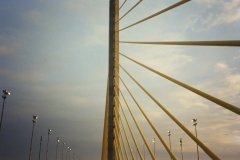 Public Bridge Walk - December 21, 1995