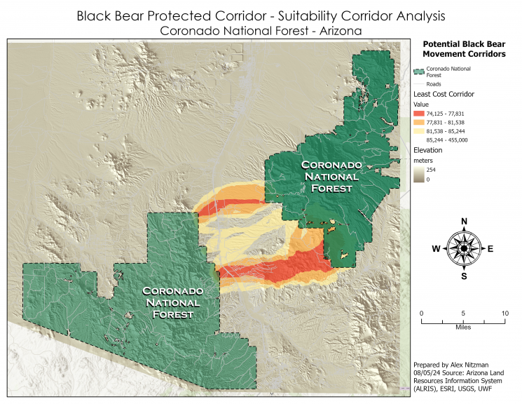 Black Bear Suitability Corridor Analysis